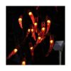 Cadena de luces Chili 20 luces LED de 10 pies funciona