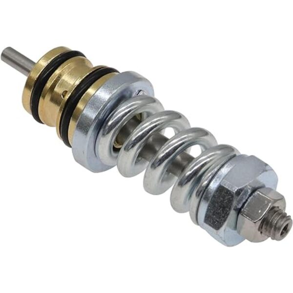 Carbpro 310924003 Kit de válvula descargadora adecuado_1