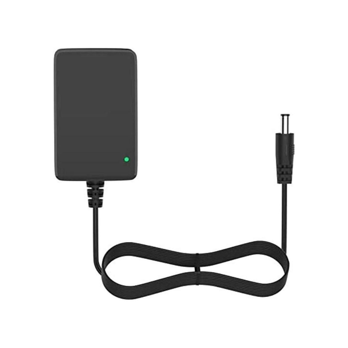 Cargador de batería de 12 V para juguetes de paseo Fuente