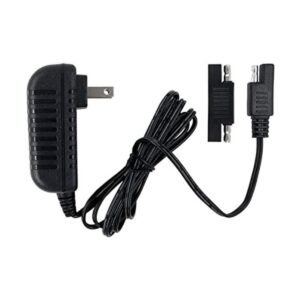 Cargador de repuesto de 6 V apto para Disney Quad Pacific_1
