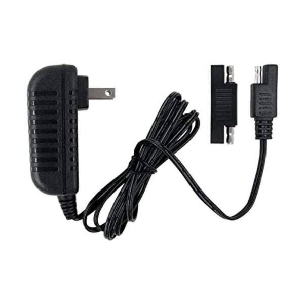 Cargador de repuesto de 6 V apto para Disney Quad Pacific_1
