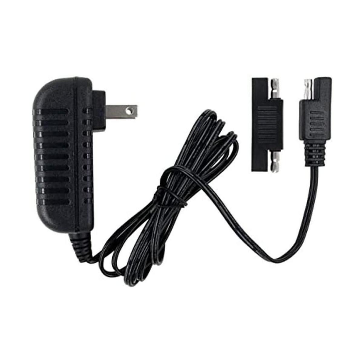 Cargador de repuesto de 6 V apto para Disney Quad Pacific