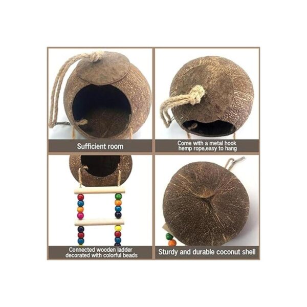 Casa colgante de pájaros de coco con escalera nido de