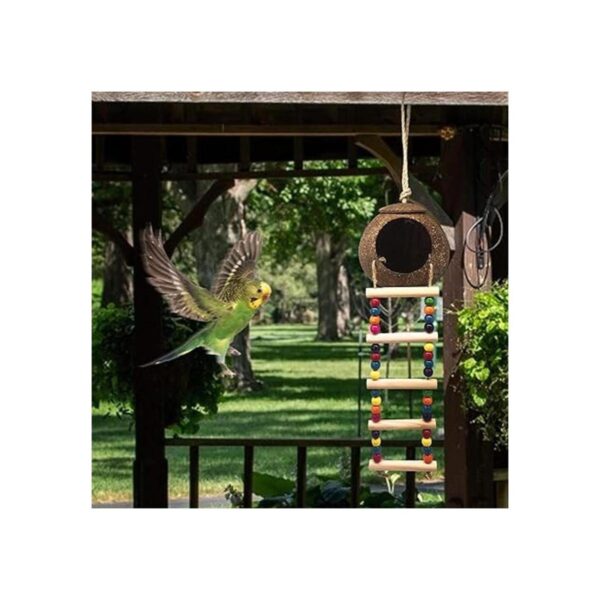 Casa colgante de pájaros de coco con escalera nido de