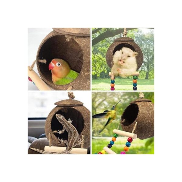 Casa colgante de pájaros de coco con escalera nido de