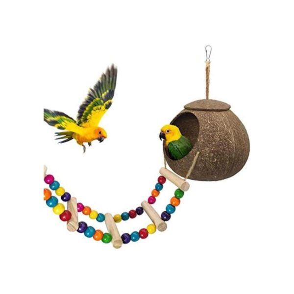 Casa colgante de pájaros de coco con escalera nido de