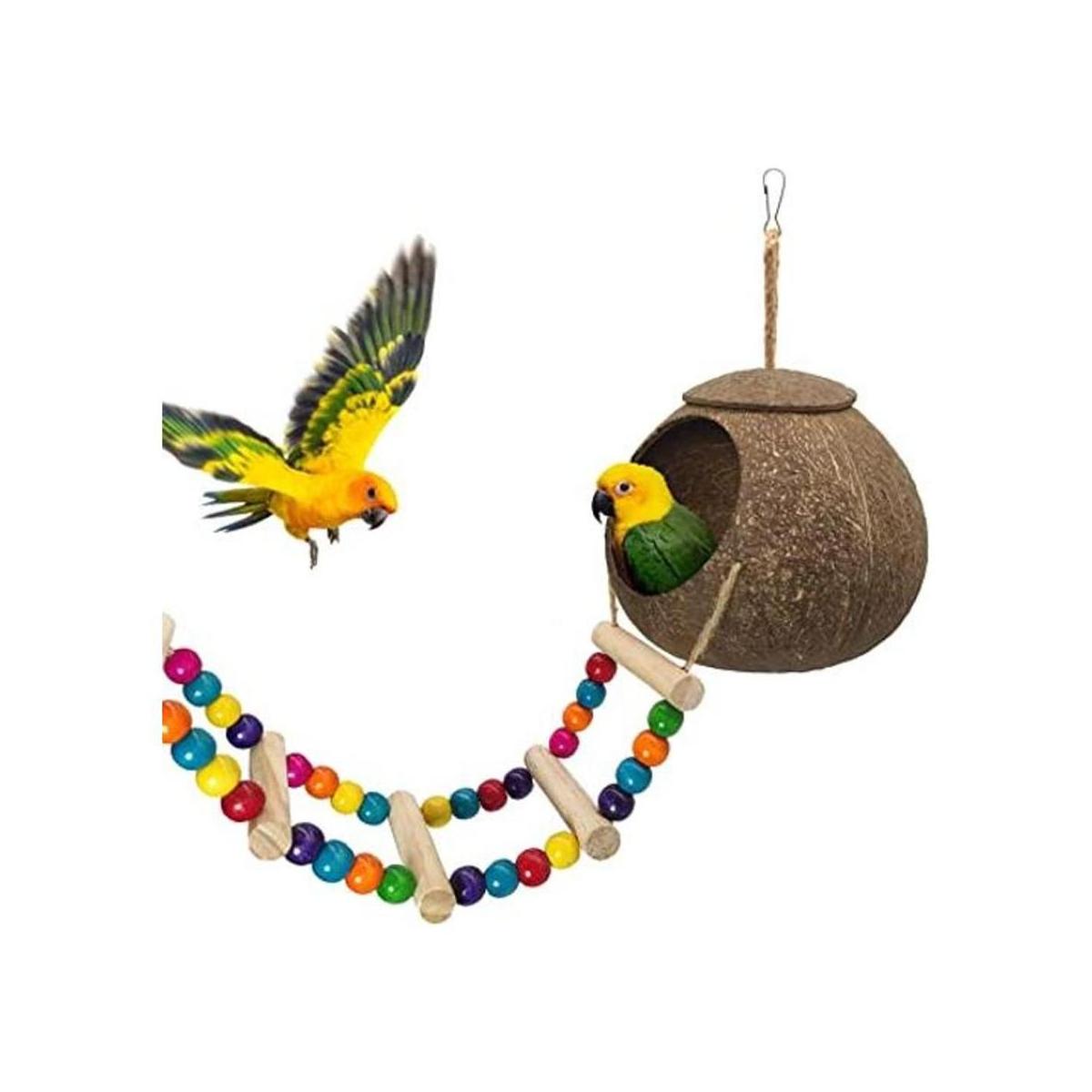 Casa colgante de pájaros de coco con escalera nido de