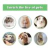 Casas de hámster de juguete para actividades de animales