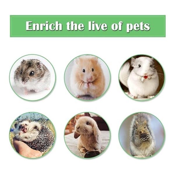 Casas de hámster de juguete para actividades de animales