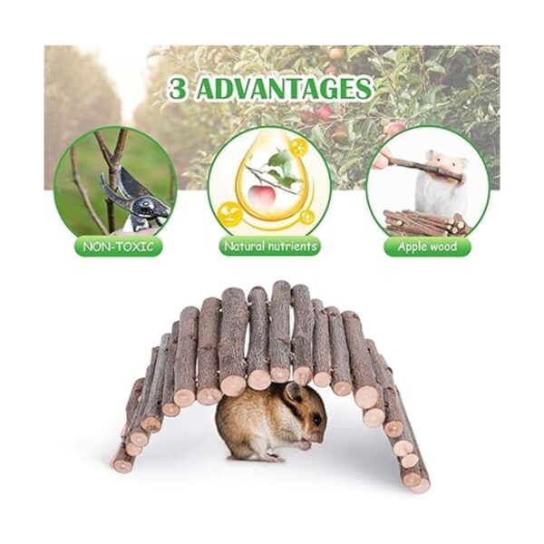 Casas de hámster de juguete para actividades de animales