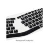 CaseBuy Funda para teclado compatible con teclado_3