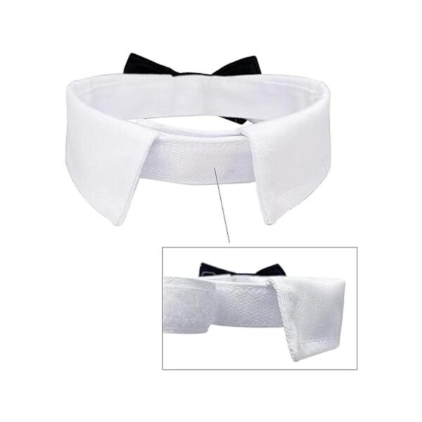 Casidoxi Collar de esmoquin para perro gato corbatín de_3