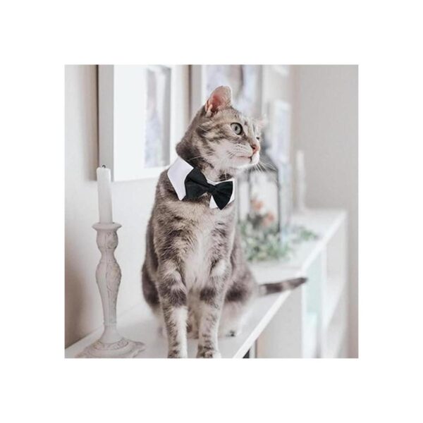 Casidoxi Collar de esmoquin para perro gato corbatín de_5