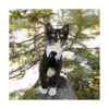 Casidoxi Dog Cat Tuxedo Collar Cat Wedding Bowtie Puppy_6