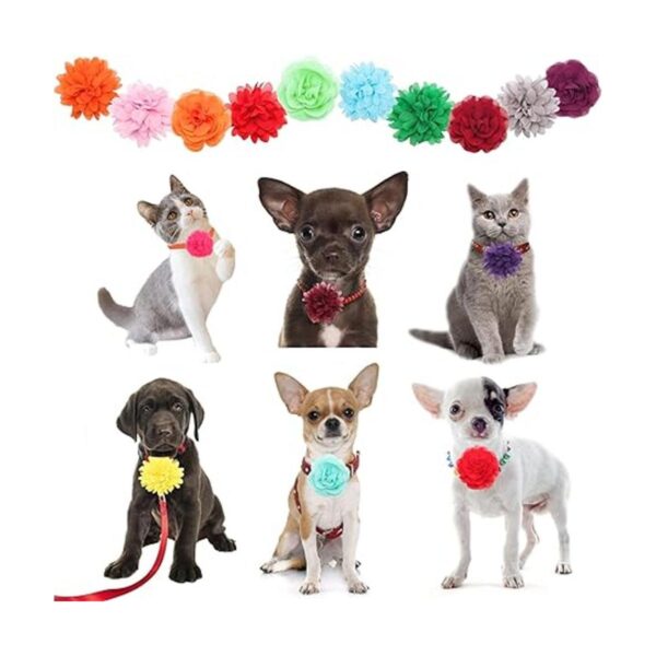 Catcan Accesorio para collar de flores para perro 20