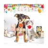 Catcan Accesorio para collar de flores para perro 20