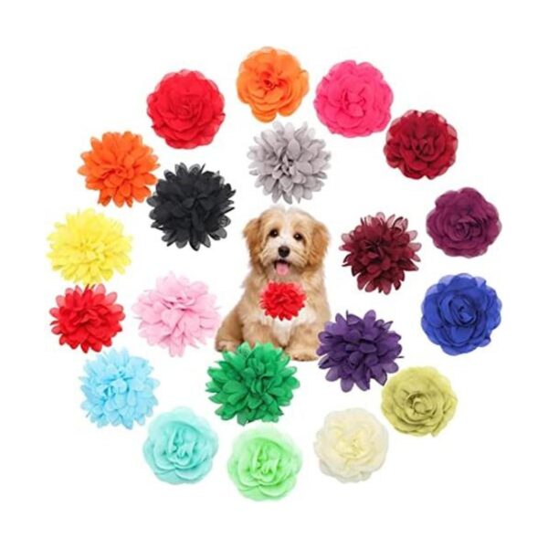 Catcan Accesorio para collar de flores para perro 20
