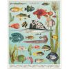 Cavallini Rompecabezas de 1000 piezas acuario vintage_3