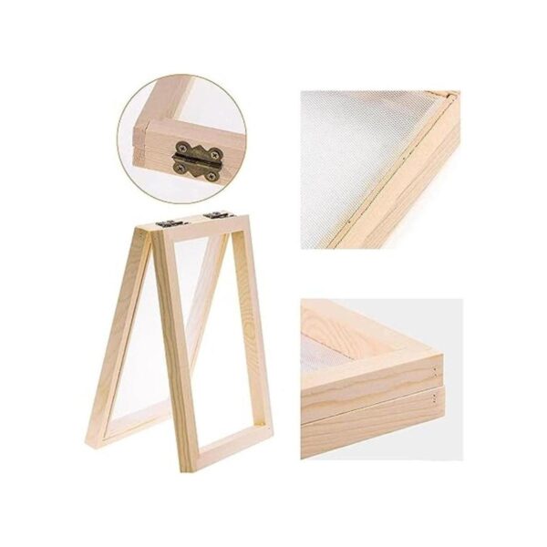 Cayway Juego de 8 flores secas para manualidades 5.0 x