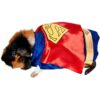 Rubies DC Comics Superman Disfraz de mascota pequeña_1