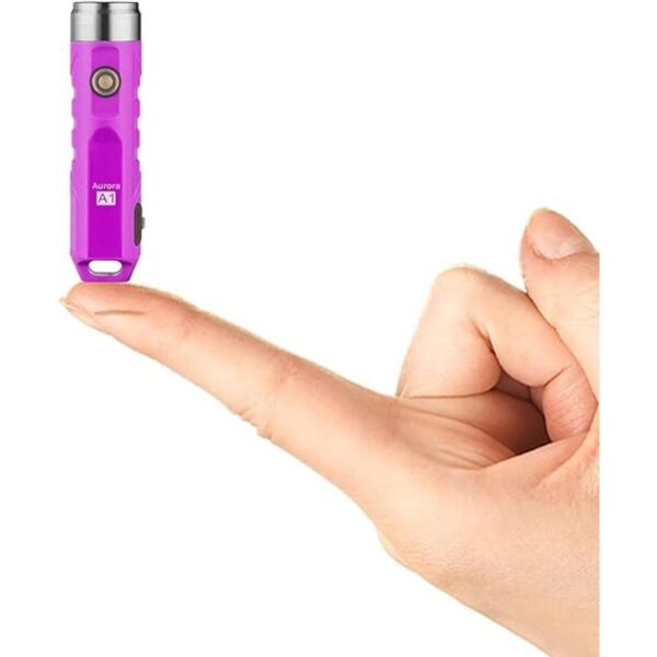 RovyVon Aurora A1 Llavero recargable USB C de 650_1