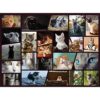 Rompecabezas de 500 piezas de Cuddly Cats Cute Cat Lover_1