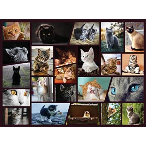 Rompecabezas de 500 piezas de Cuddly Cats Cute Cat Lover_1