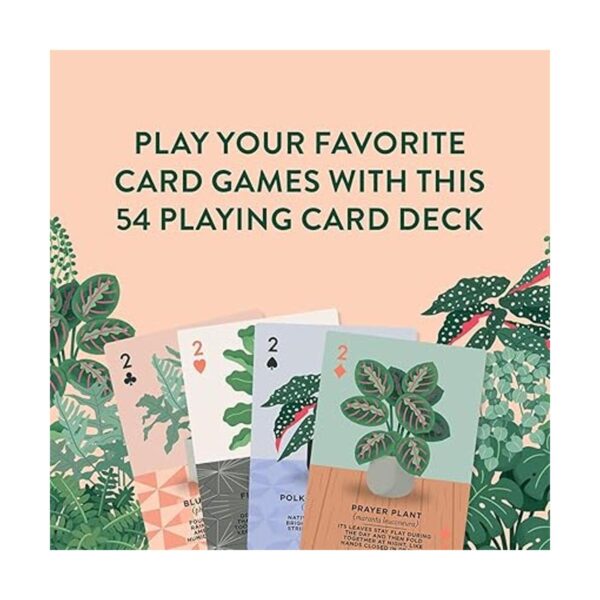 Ridleys Planta de casa Jugando a las Cartas 54 Cartas_2