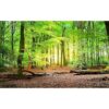 Reyhui Papel tapiz con imagen de bosque paisaje