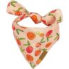 RemyRoo Bandanas para perros paquete de 4 unidades_3