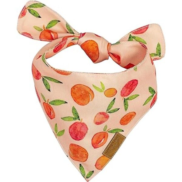 RemyRoo Bandanas para perros paquete de 4 unidades_3