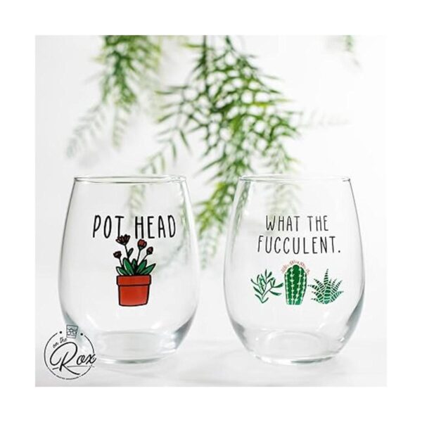 Regalos de vino de cactus para plantas suculentas para_5