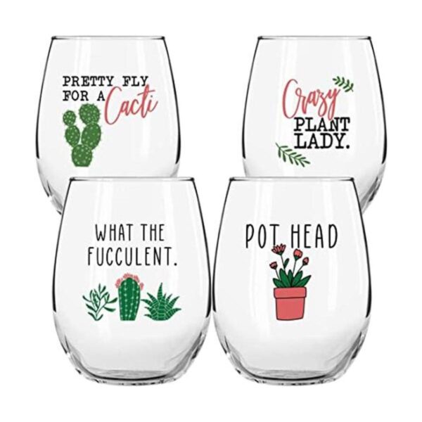 Regalos de vino de cactus para plantas suculentas para_1