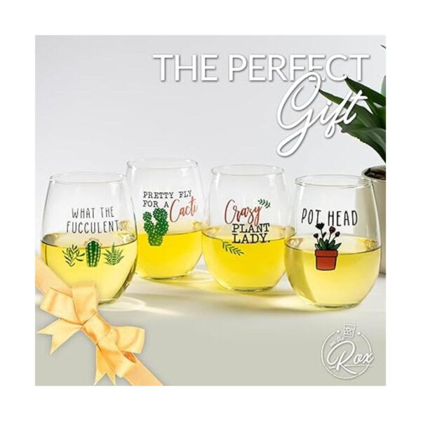 Regalos de vino de cactus para plantas suculentas para_4