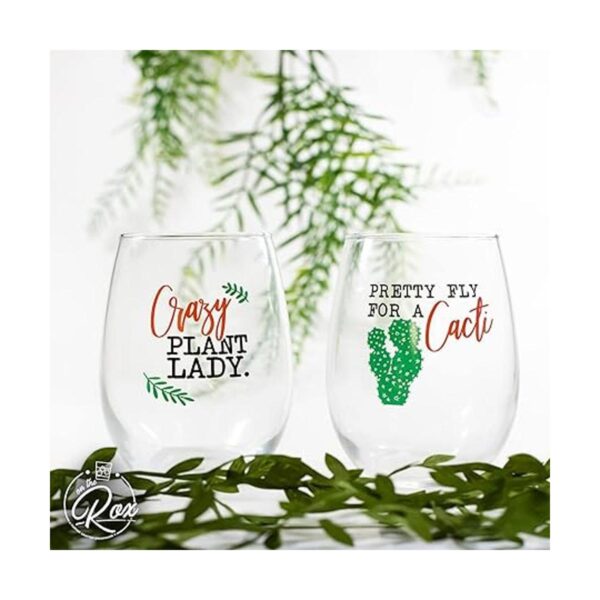 Regalos de vino de cactus para plantas suculentas para_6