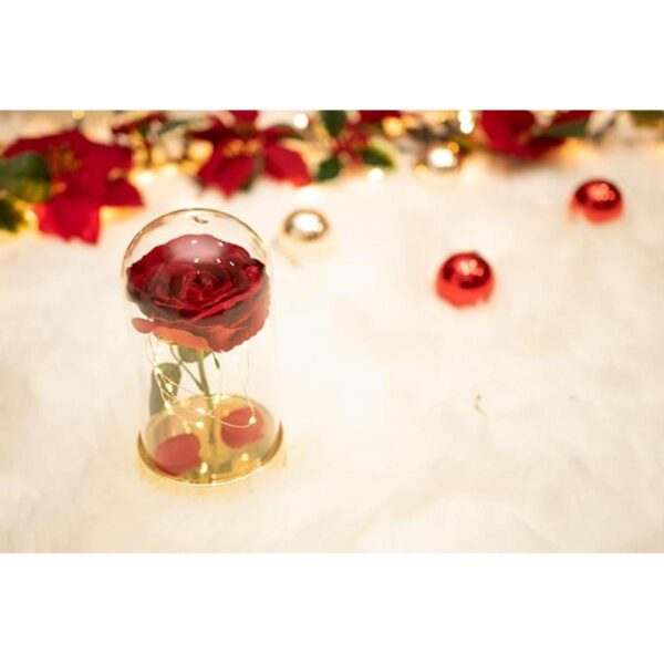 Regalo de cumpleaños de cúpula de cristal rosa roja para