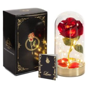 Regalo de cumpleaños de cúpula de cristal rosa roja para