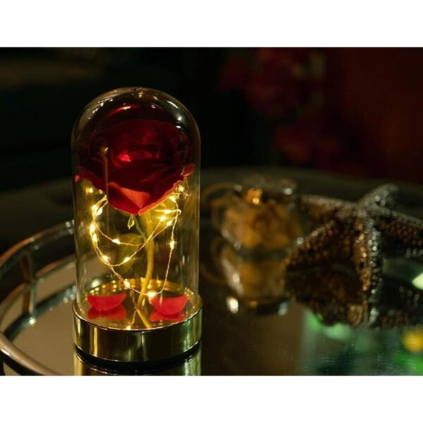 Regalo de cumpleaños de cúpula de cristal rosa roja para