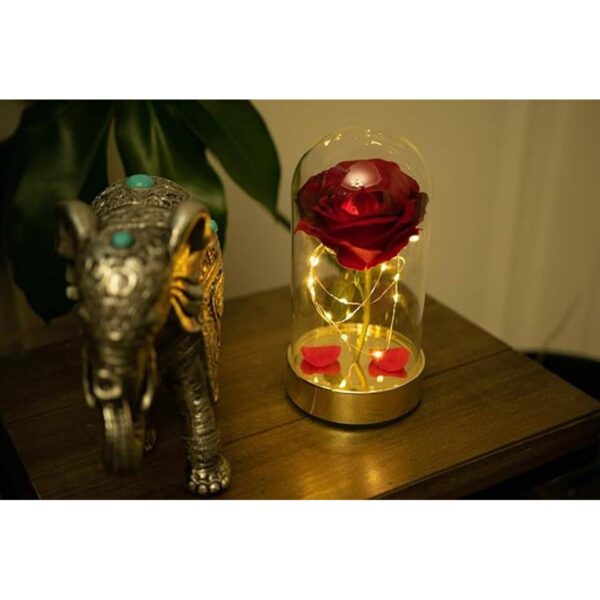 Regalo de cumpleaños de cúpula de cristal rosa roja para