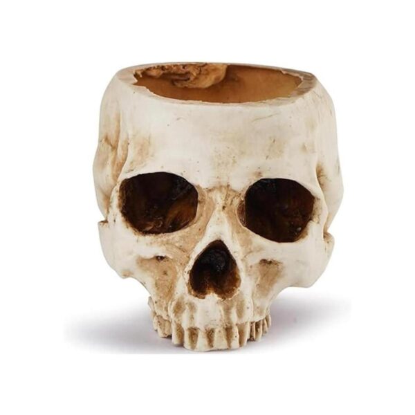 Readaeer Maceta de resina con forma de calavera para