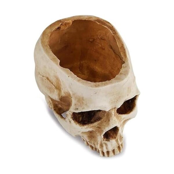 Readaeer Maceta de resina con forma de calavera para
