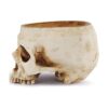 Readaeer Maceta de resina con forma de calavera para