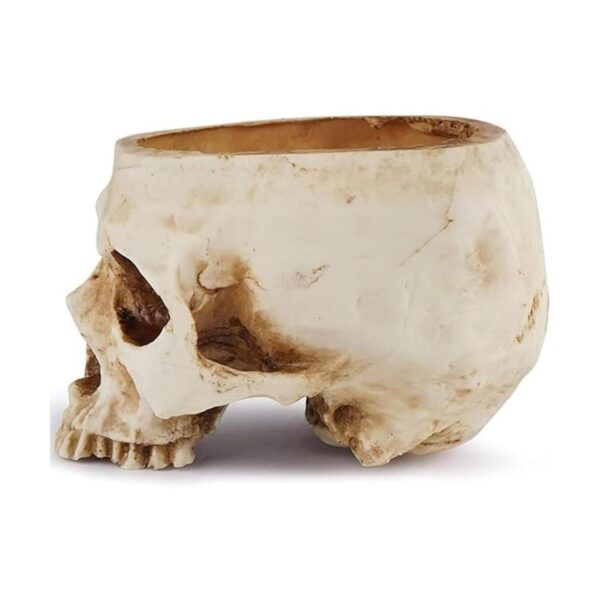 Readaeer Maceta de resina con forma de calavera para