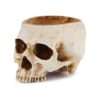 Readaeer Maceta de resina con forma de calavera para
