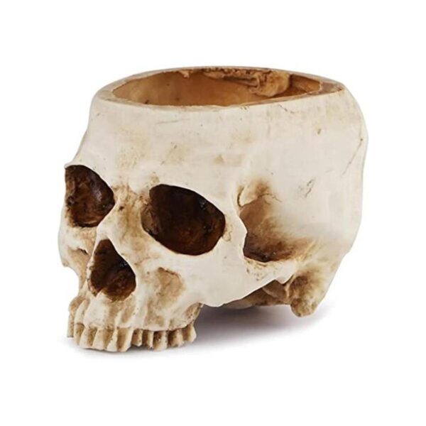 Readaeer Maceta de resina con forma de calavera para