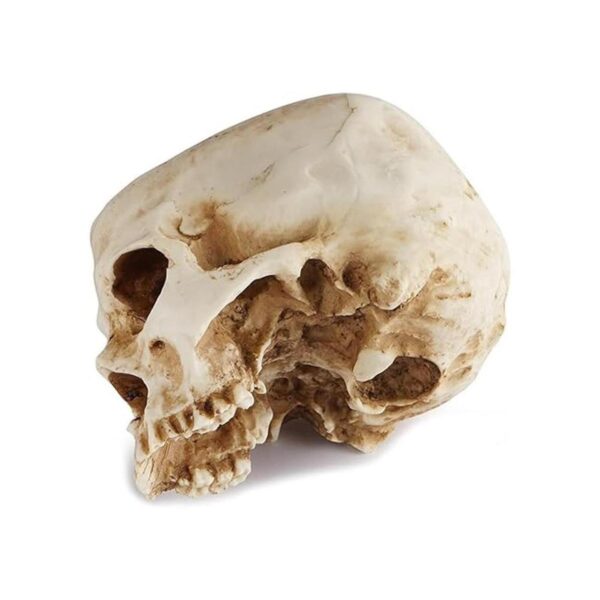 Readaeer Maceta de resina con forma de calavera para