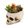 Readaeer Maceta de resina con forma de calavera para