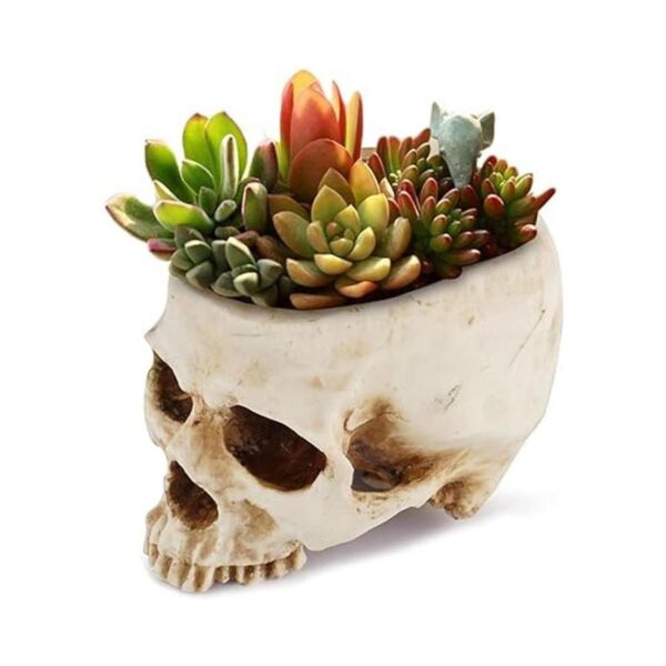 Readaeer Maceta de resina con forma de calavera para