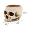 Readaeer Maceta de resina con forma de calavera para