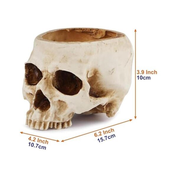 Readaeer Maceta de resina con forma de calavera para
